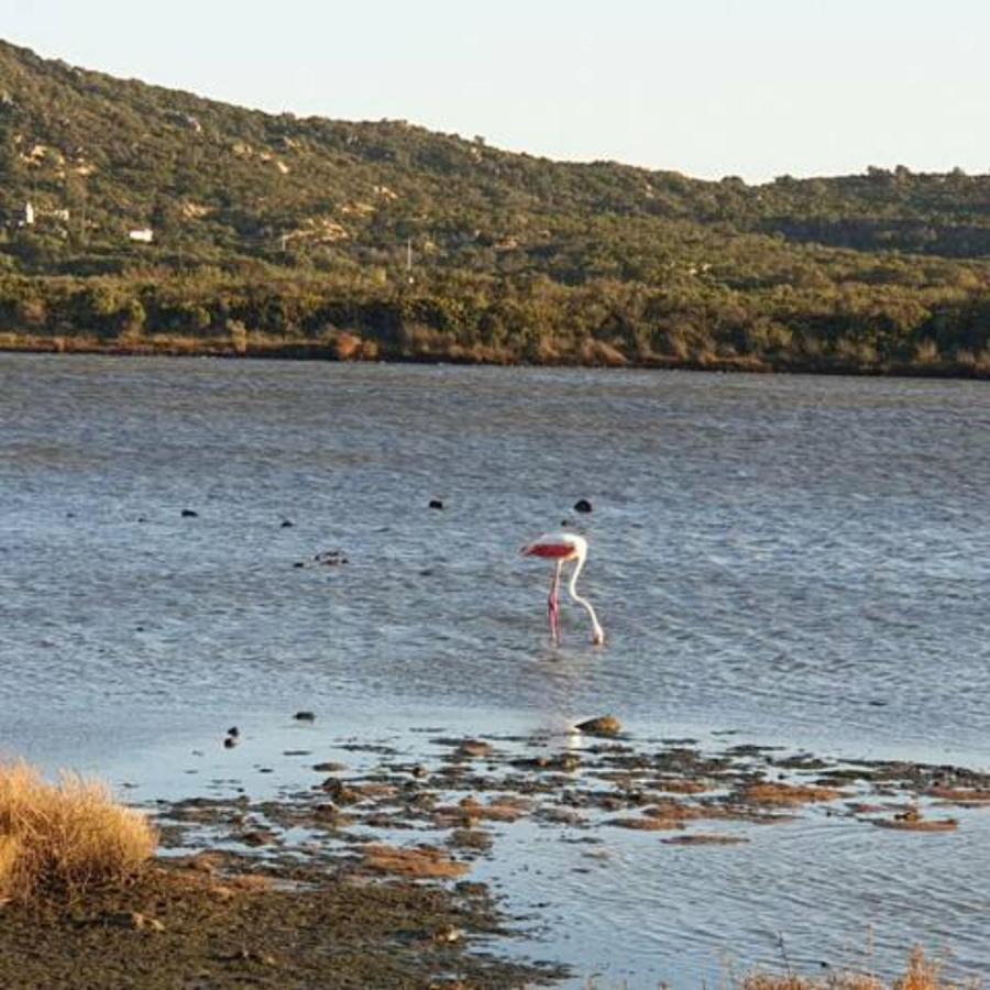 Appartamento Vasiliki Porto San Paolo  Zewnętrze zdjęcie